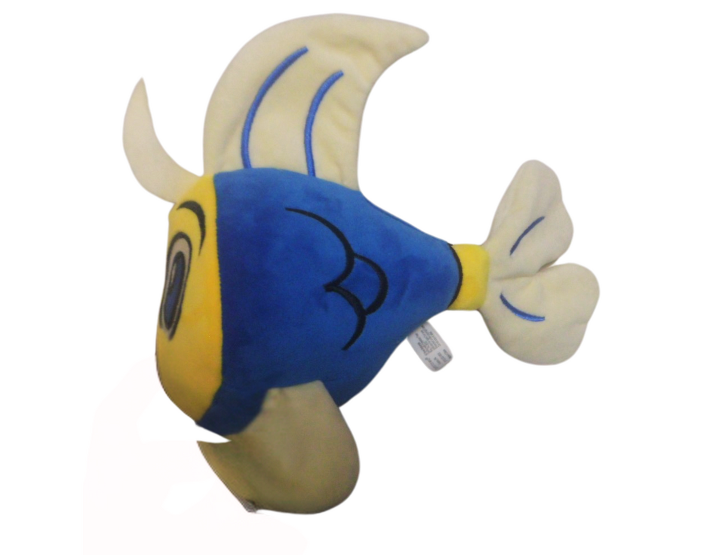 Cory the Fish